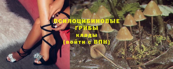 первитин Арсеньев